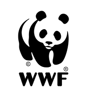 WWF WWF